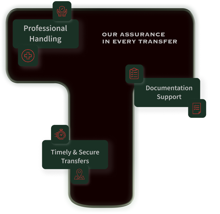Mortuary Service Process